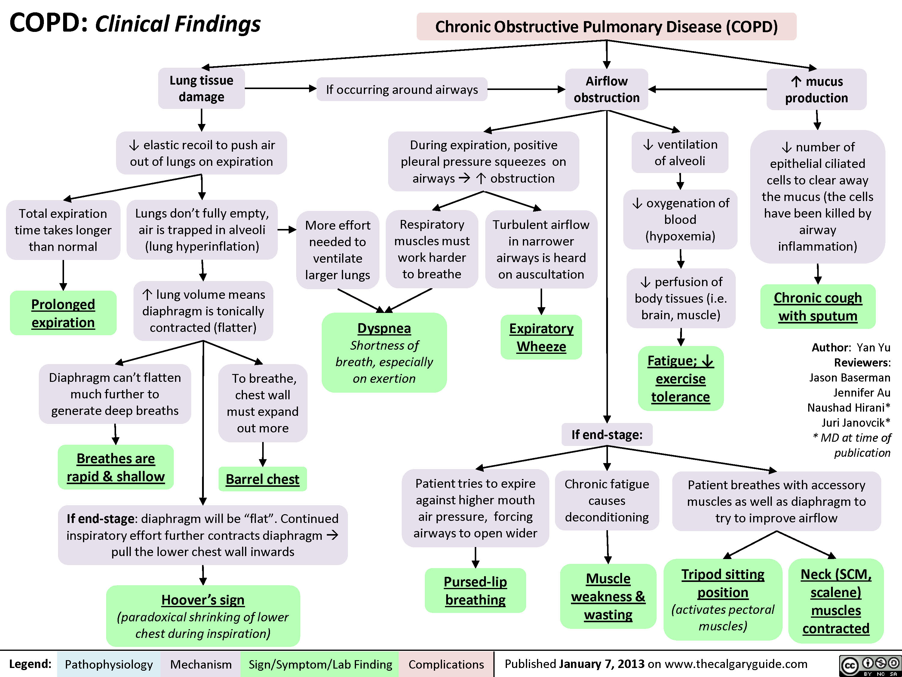 clinical-features-copd.png