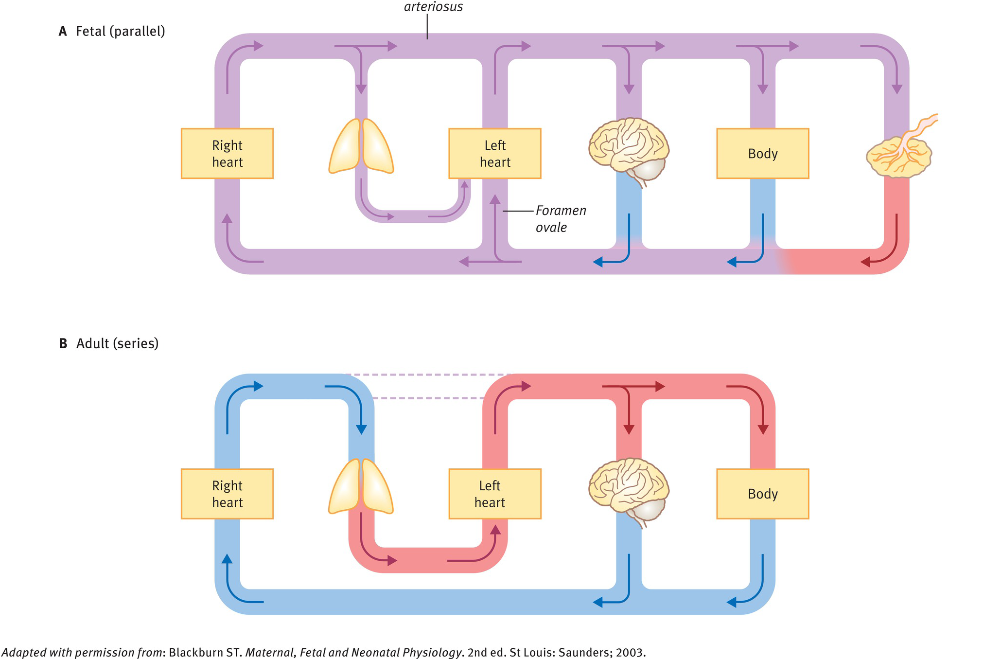 Pasted image 20250523213809.png